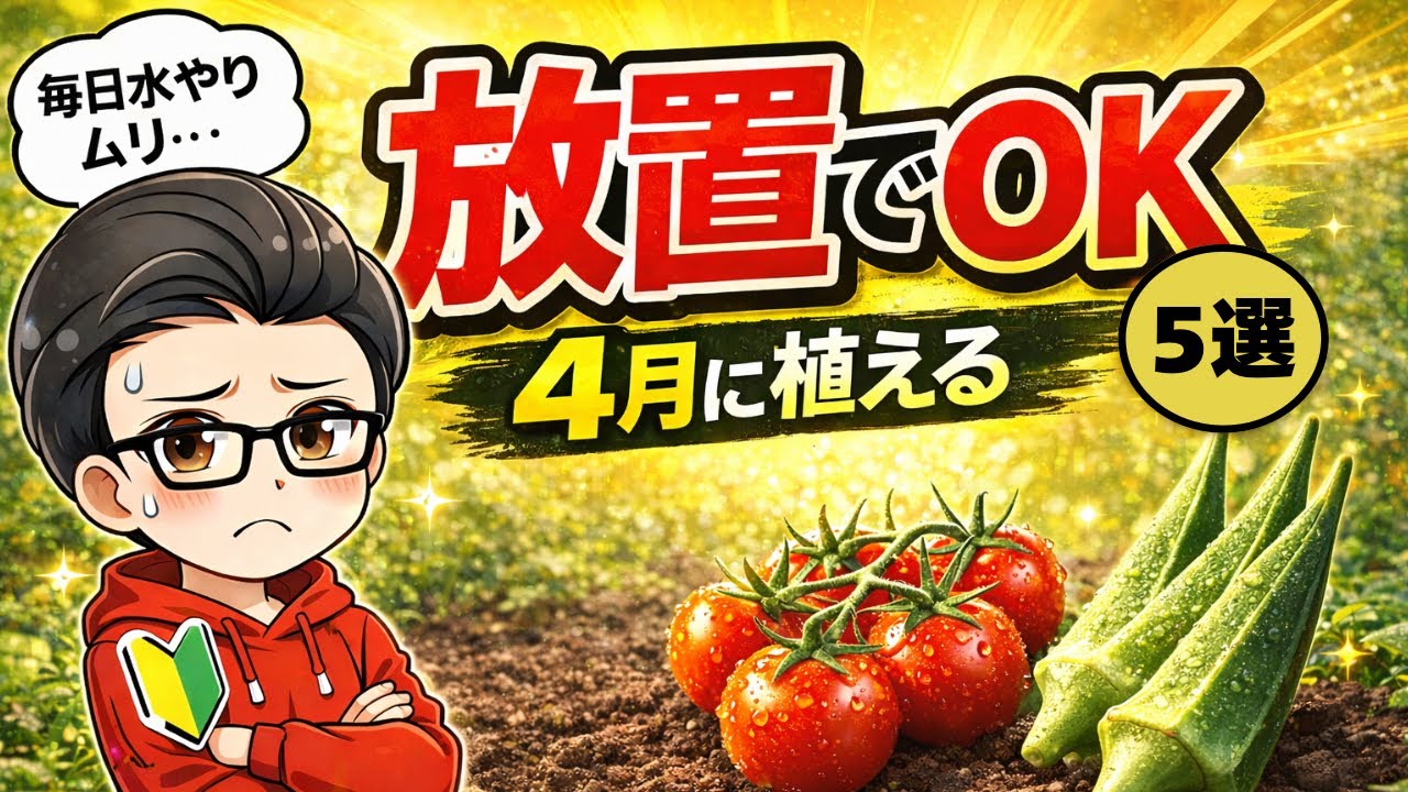 家庭菜園シーズン間もなく到来 新刊紹介◇菜園ライフを応援します！～家庭菜園雑誌『やさい畑』夏号の