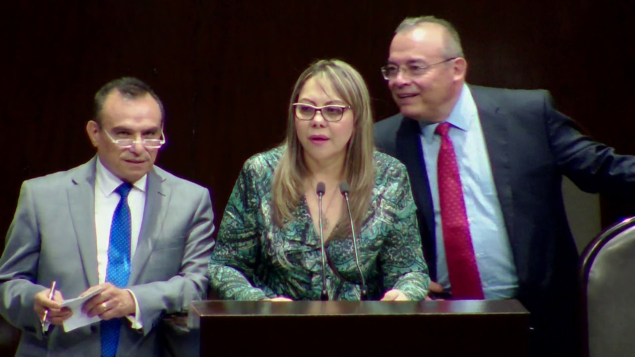 Votación del dictamen del Reglamento del Sistema de Bibliotecas del Congreso de la Unión mexico primera division