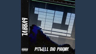 Pitbull do Phonk