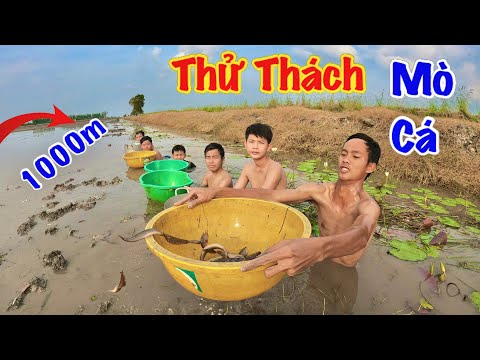 Thử Thách Mò Cá Trên Mương dài 1000 M Người Chiến Thắng Sẽ Được Thưởng 1 Triệu