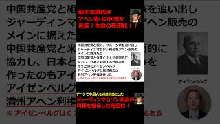 麻生太郎氏はアヘン売りの利権を世襲！生粋の売国奴！！ #つばさの党 #政治団体Q ＃黒川あつひこ #麻生太郎
