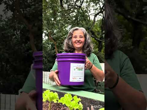 Inauguração do espaço Quintal Verde