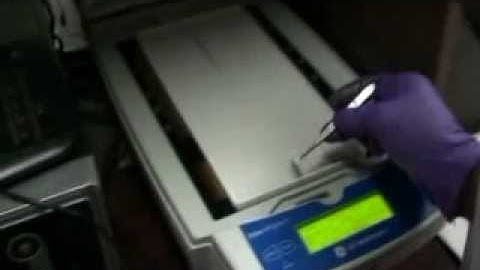 Experiment 6 3 IEF and Equilibration of tissue lysate