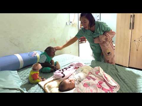 Heartwarming Moment 💛 CUTIS and Baby Monkey Help Mom Take Care of Baby