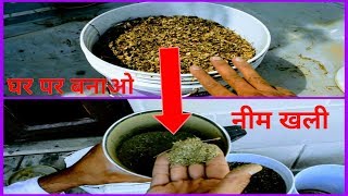 025Homemade neem khali/homemade fungicide