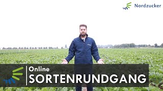 Nordzucker Online-Sortenrundgang 2020 Hd