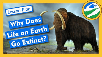 Why Does Life on Earth Go Extinct? - Lesson Plan