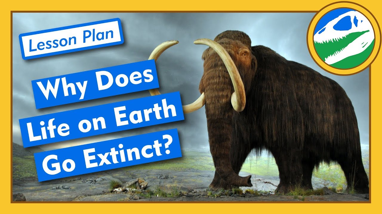 ⁣Why Does Life on Earth Go Extinct? - Lesson Plan