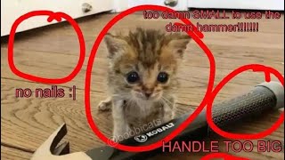 His Ass Does Not Work In Construction