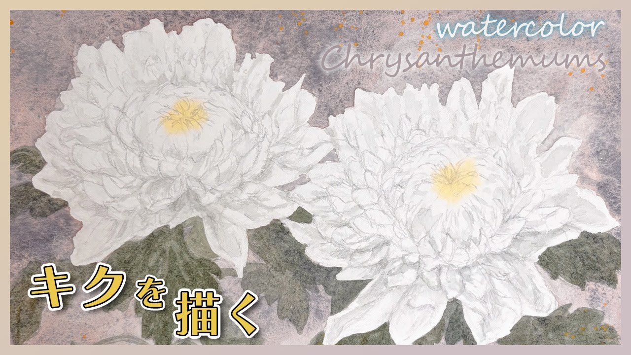 White Chrysanthemums in Watercolor | A Calming Painting Process