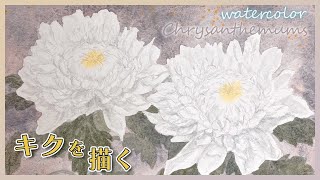White Chrysanthemums in Watercolor | A Calming Painting Process