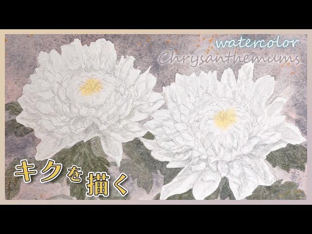 White Chrysanthemums in Watercolor | A Calming Painting Process