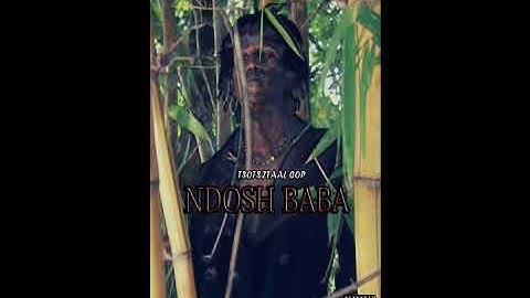 Ndosh-tsotsitaal cop(official audio)