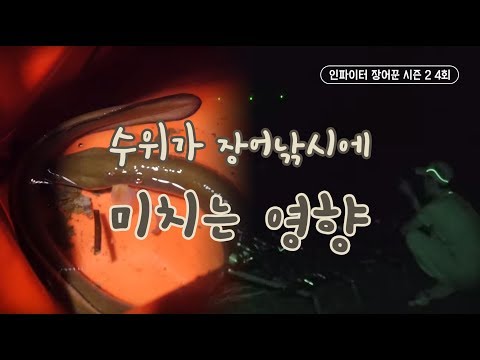 [FTV한국낚시채널] 수위가 장어낚시에 미치는 영향, 인파이터 장어꾼 시즌2 4회 풀버전, 충주호, 충주댐, eel, eel fishing,