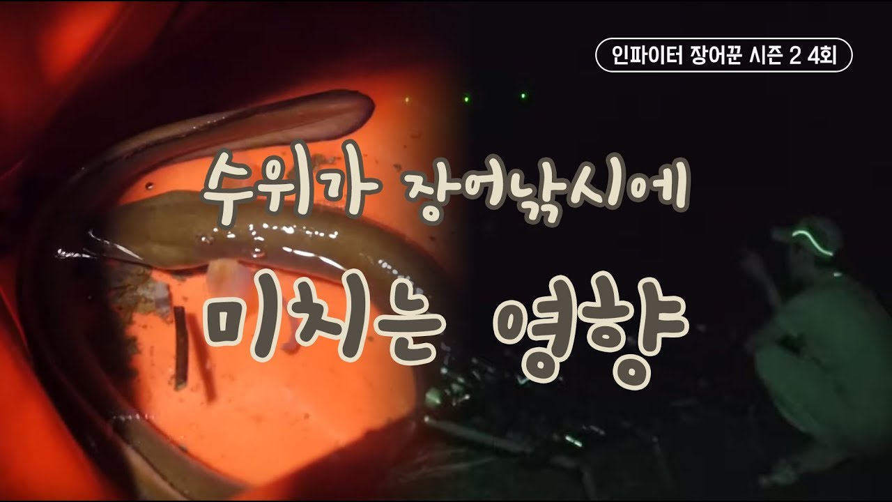 [FTV한국낚시채널] 수위가 장어낚시에 미치는 영향, 인파이터 장어꾼 시즌2 4회 풀버전, 충주호, 충주댐, eel, eel fishing,