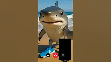 كابتشينو اساسينو كابوتشينو اساسينو 