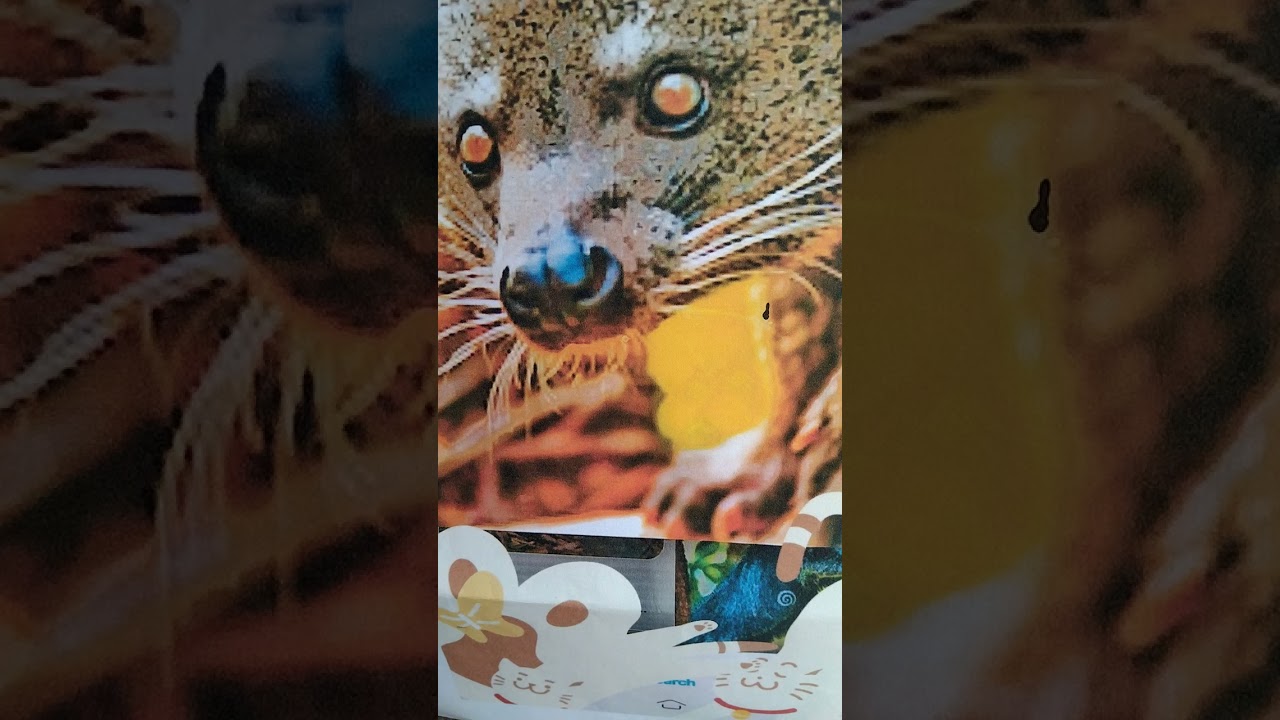 jerita seligi tusun ke 4