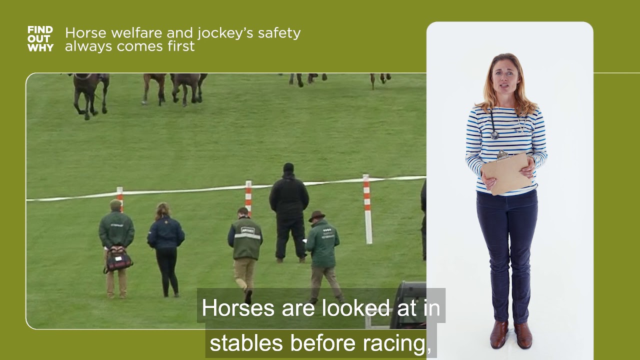 How much importance does racing place on horse welfare? YouTube