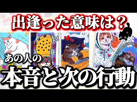 ねこやなぎさん専用 ねこやなぎタロット - YouTube