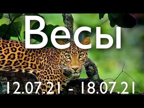 Видео: Внезапна прогноза - Алтернативен изглед