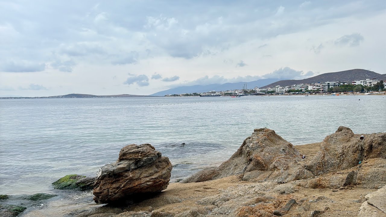 EYLÜL’DE AVŞA BAŞKADIR … 