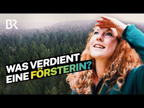 Traumberuf im Wald: So viel Gehalt verdienen Förster I Lohnt sich das? I BR