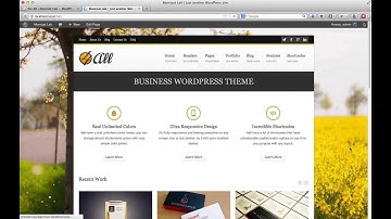 4all Theme - options1 General settings