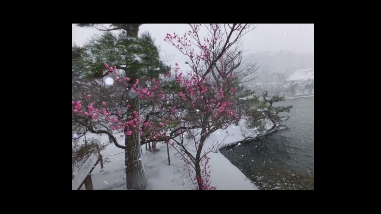 [FREE] Jonny 5 x Gola Gianni Type Beat  "winter" (prod by sebi.wav)