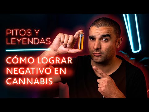 Video: 3 formas de pasar una prueba de drogas para conseguir un trabajo