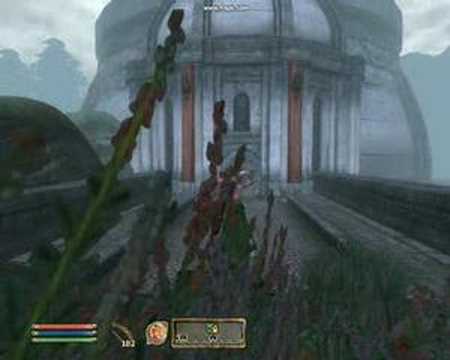 OBLIVION- MOD arrows of stretchyness