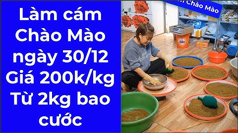 Cho chim chào mào ăn cám gì là tốt nhất