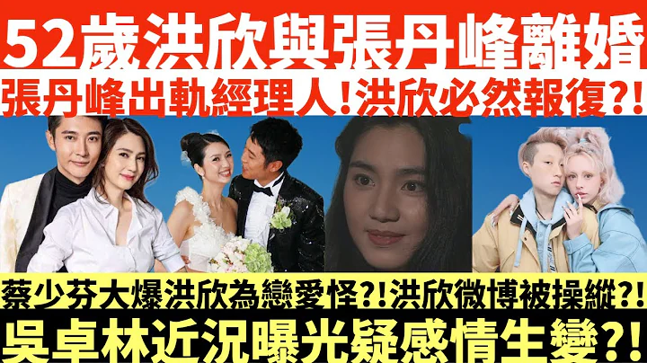 52歲洪欣與張丹峰離婚14年姐弟戀情斷!|洪欣必然報復張丹峰?!|張丹峰出軌經理人|洪欣微博被操縱?!|蔡少芬大爆洪欣為戀愛怪?!|井仔點睇 - 天天要聞