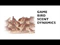 Game bird scent dynamics