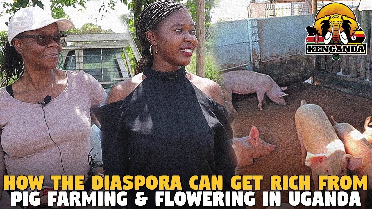How A Zimbabwean Woman Moved to Uganda and Made it BIG in Pig FARMING!!!!!!!!!!