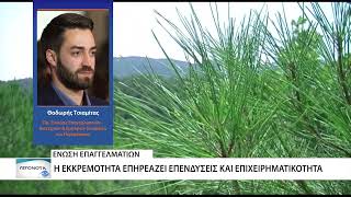 Επιστολή της Ένωσης Επαγγελματιών Βιοτεχνών Σουφλίου στο ΥΠΕΝ για το θεσμικό πλαίσιο των NATURA