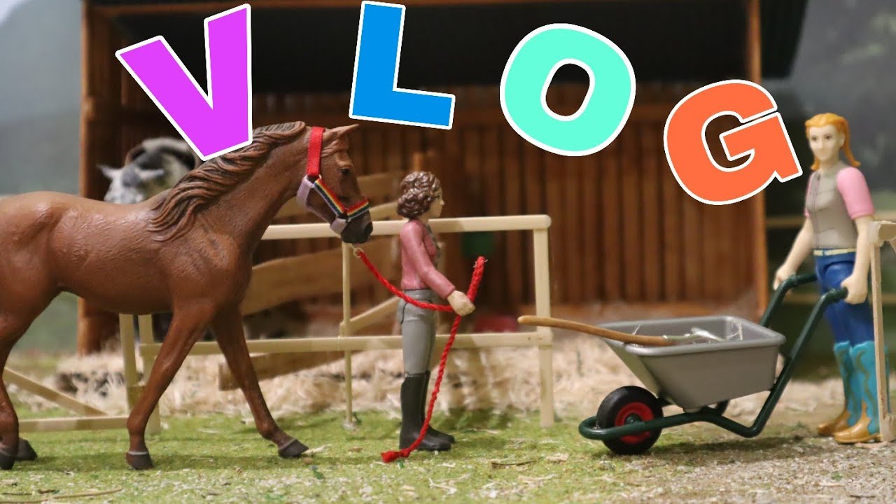 [VLOG HARAS] On prépare tout pour les naissances et présentations des nouveaux chevaux !