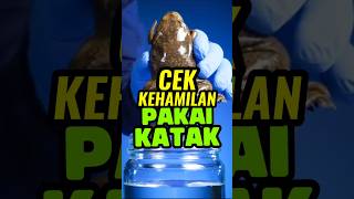 Cek kehamilan pakai katak #unik #aneh #adaadaaja #science