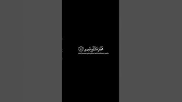 تلاوة من سورة القلم الآية 8_15 القارئ سالم الرويلي
