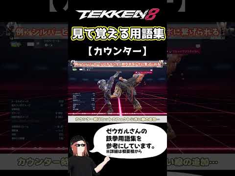 【鉄拳8】見て覚える用語集【カウンター】