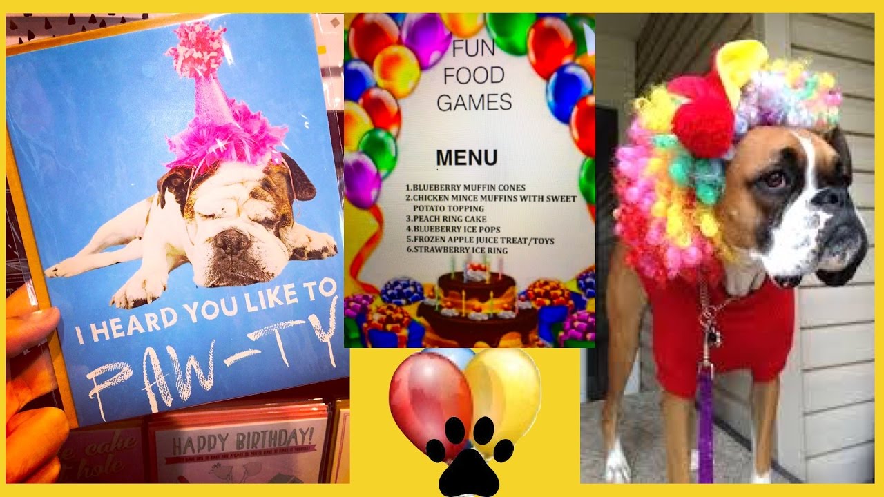 DOG BIRTHDAY PARTY FOOD MENU BOXER POODLE PUPPIES DIY Dog Food by