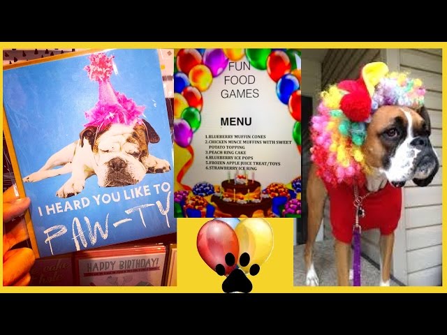 DOG BIRTHDAY PARTY FOOD MENU BOXER POODLE PUPPIES - DIY Dog Food