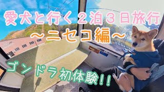 【愛犬と行く２泊３日旅行③】ニセコ スノードッグビレッジに泊まってアンヌプリゴンドラに乗る！