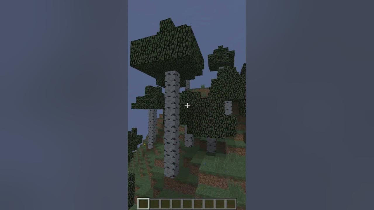 The tallest birches in minecraft. subscribe bro YouTube