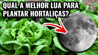 Qual a Melhor Lua para Plantar Hortaliças Aprenda AGORA!