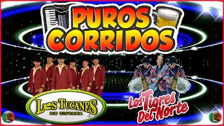 Los Tucanes De Tijuana, Los Tigres Del Norte, Lalo Mora - 20 Grandes Exitos