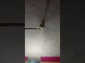 pankha chale to hawa deta hai 😂🤣😂🤣