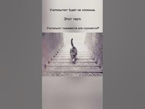 #мем #мьюинг - YouTube