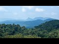 Ecogardiens du Parc national de Kahuzi-Biega