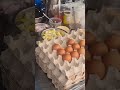 Thailand, Phuket, Hawker business tutorial
