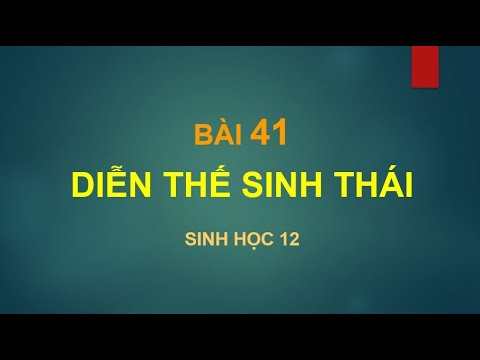 Video BÀI GIẢNG MÔN SINH LỚP 12 | BÀI 41| DIỄN THẾ SINH THÁI... - youtube